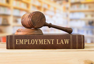 Book that says Employment Law with gavel on top